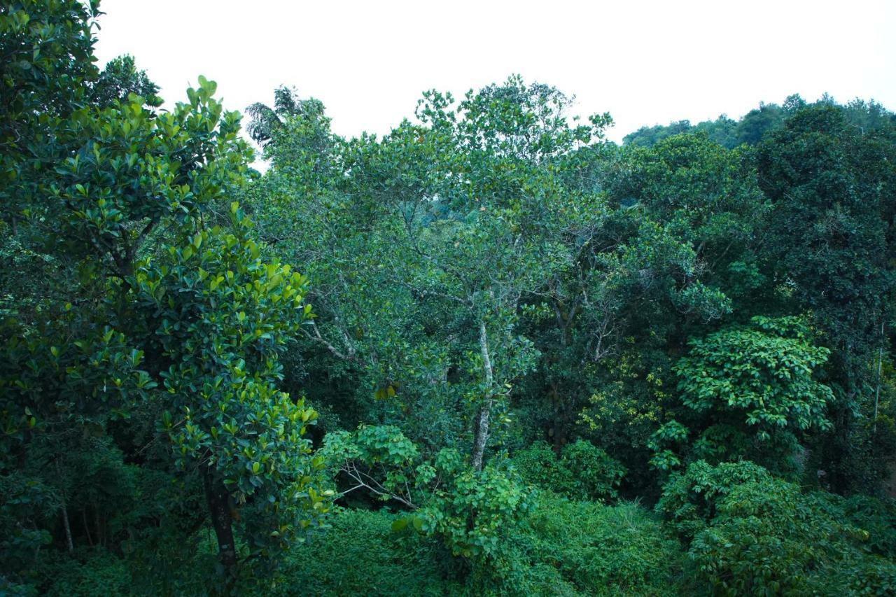 Lamond Holidays Munnar Dış mekan fotoğraf